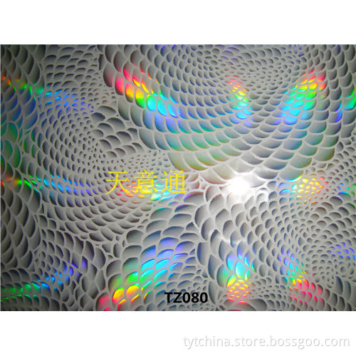 SCALES STYLE HOLOGRAM FILM